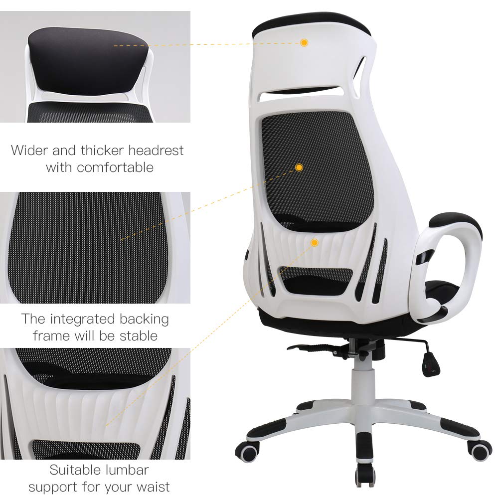 office lumbar support